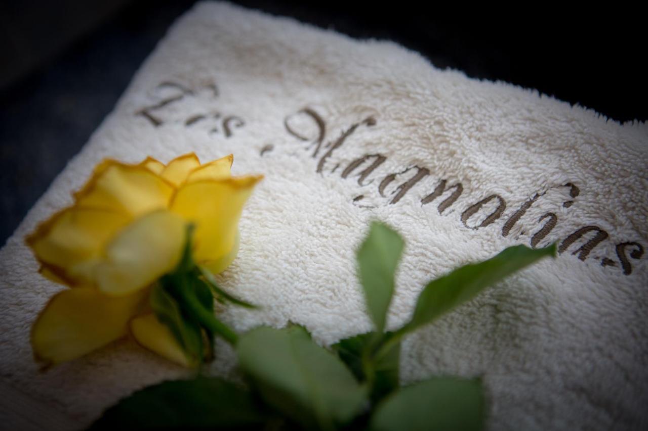 Les Magnolias Holiday Homes Lalinde Exteriör bild